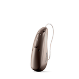 Chestnut