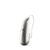 Silver Gray