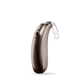 Chestnut