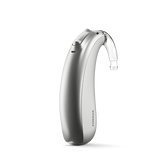 Silver Gray
